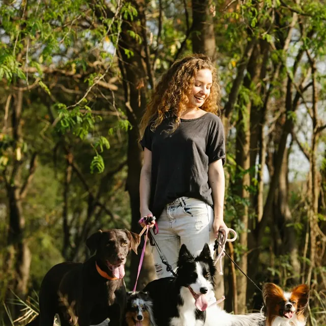 깨끗한 급식 구역의 식기와 식사 장면