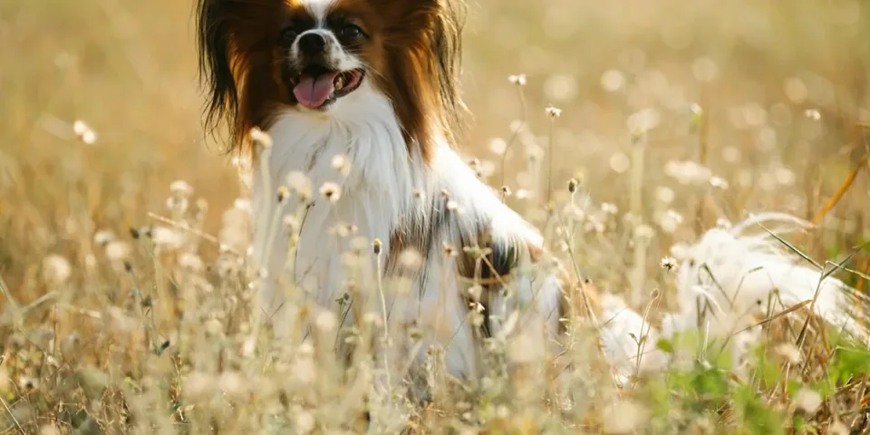 정원 창가의 빛이 들어오는 넓은 스위트 객실