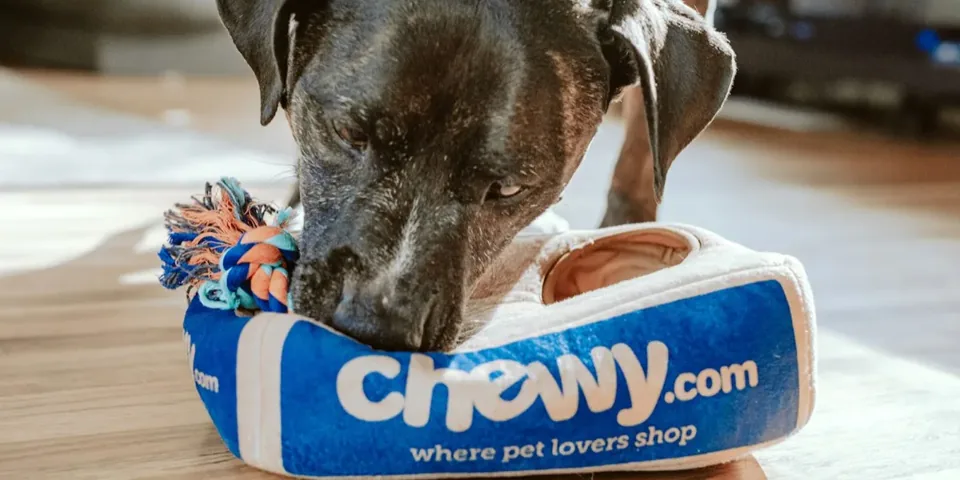 작은 전용 마당으로 이어지는 유리문이 있는 프리미엄 빌라